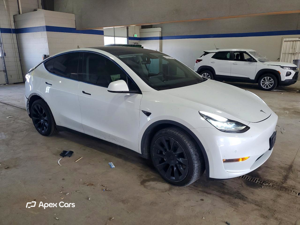 Tesla Model Y 2021