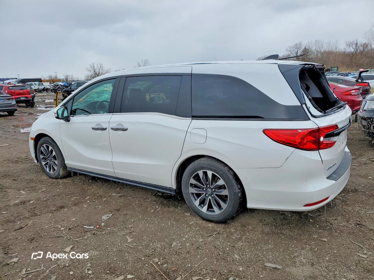 Honda Odyssey 2024