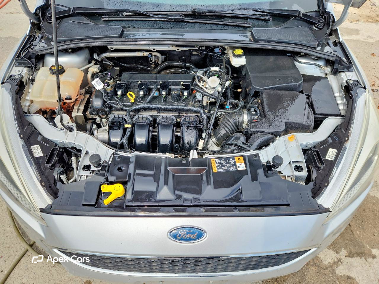 Ford Focus 2017