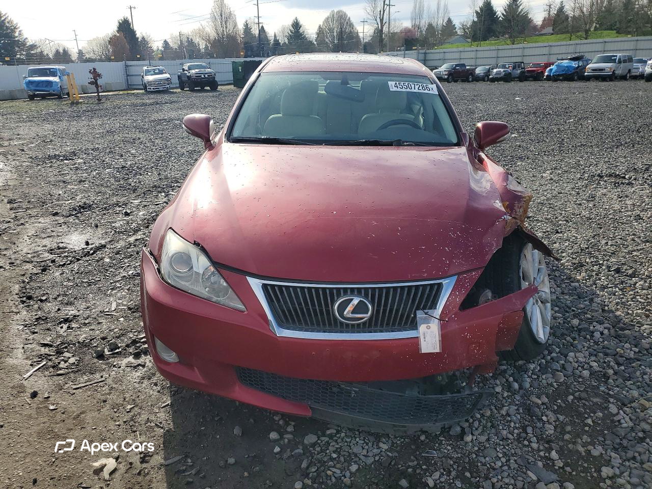 Lexus IS 2009