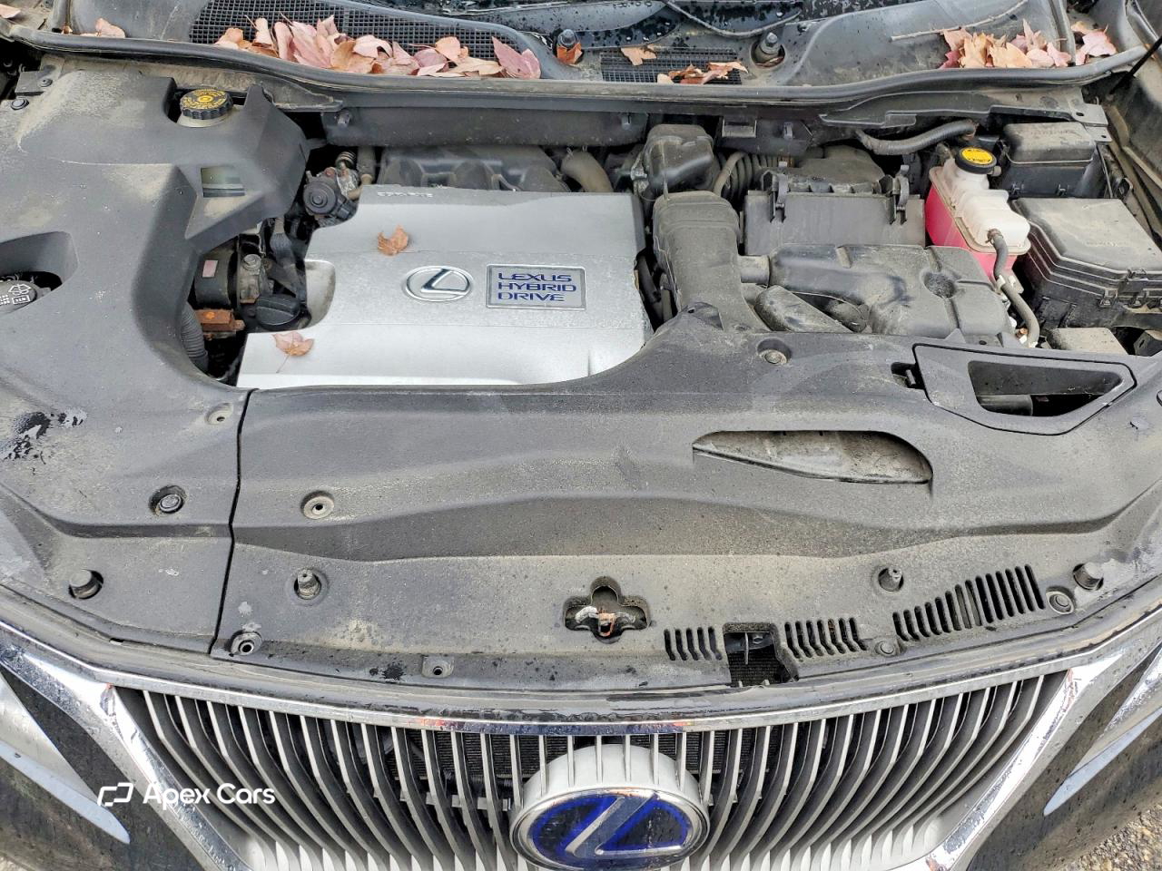 Lexus RX 2010