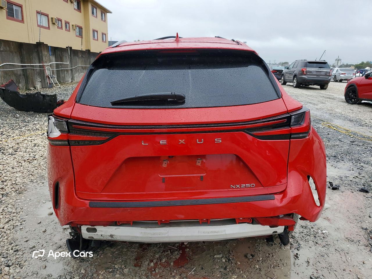 Lexus NX 2024