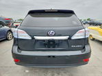Lexus RX 2011