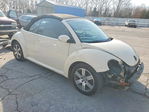Volkswagen Beetle 2006