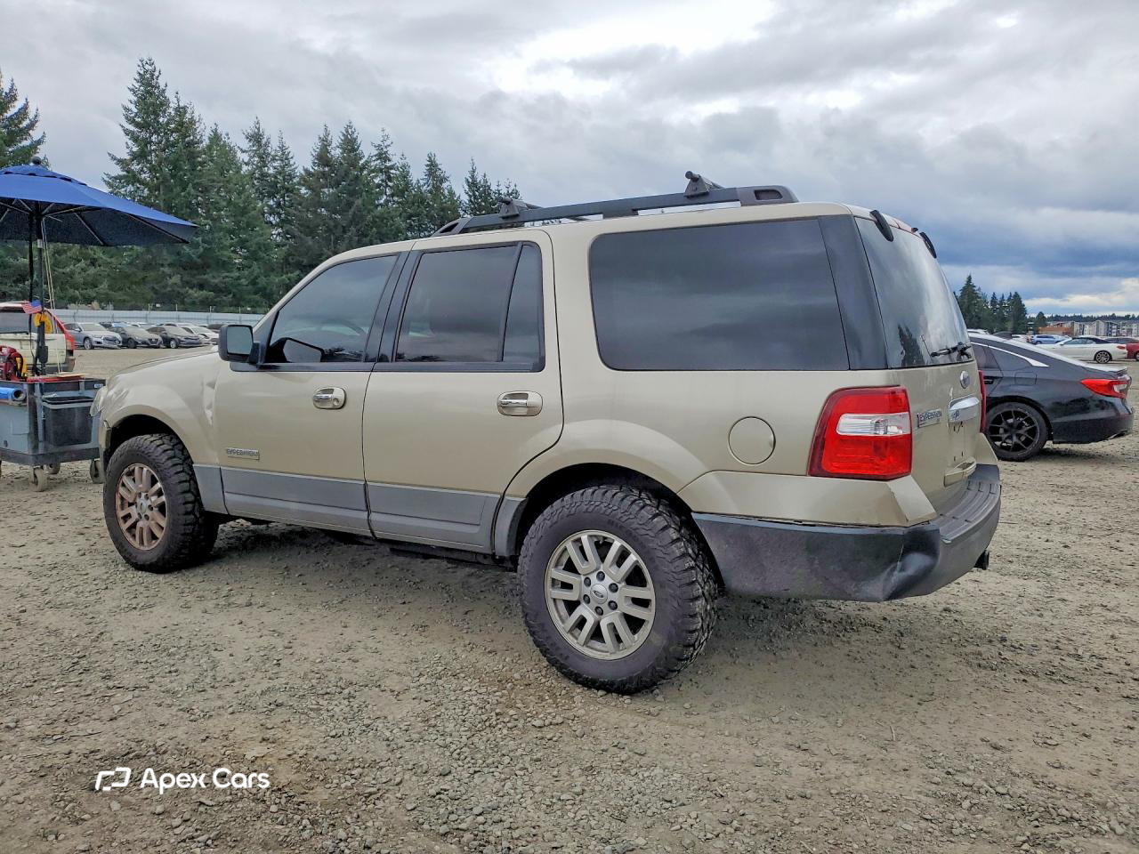 Ford Expedition 2007