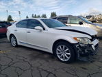 Lexus LS 2008