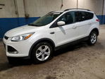 Ford Escape 2014