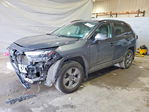 Toyota RAV 4 2024