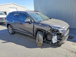 Toyota RAV 4 2023