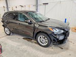 Ford Escape 2020