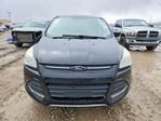 Ford Escape 2016