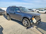 Ford Escape 2009