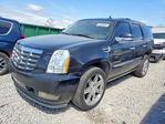 Escalade 2007