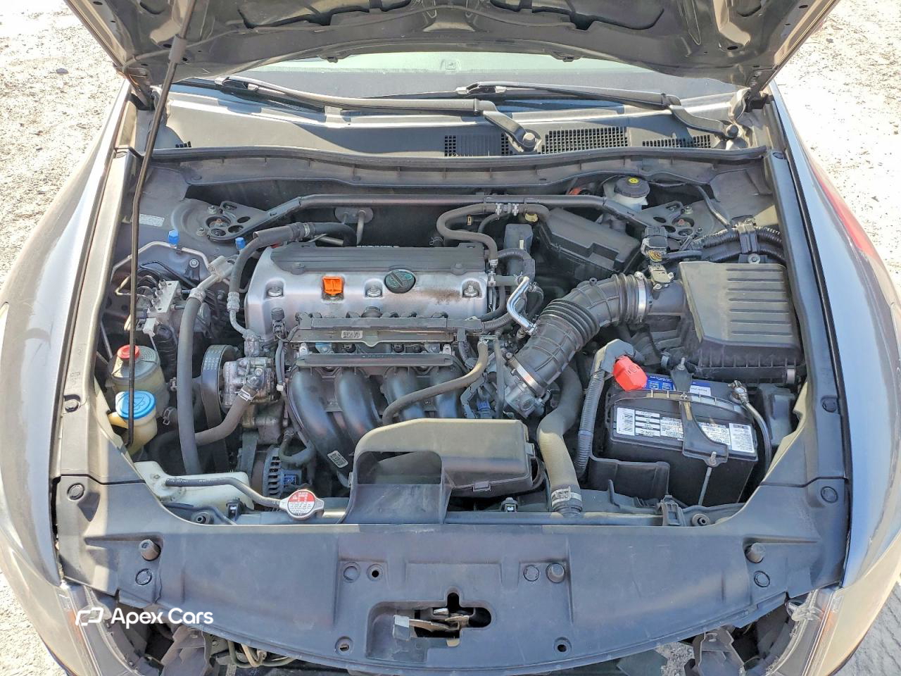 Honda Accord 2010