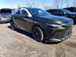 Lexus RX 2025