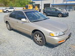 Honda Accord 1995