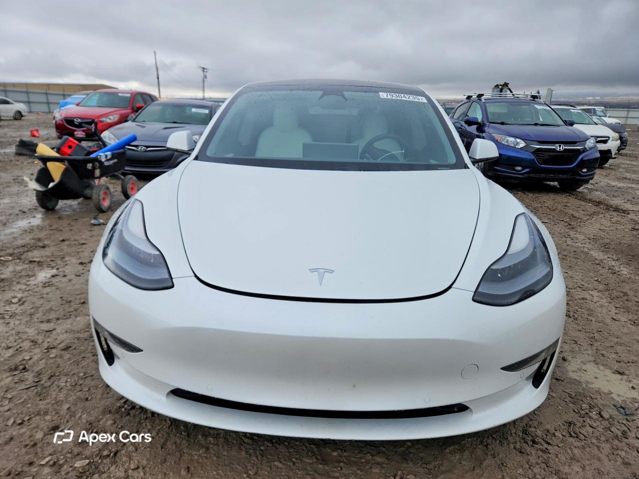 Tesla Model 3 2021