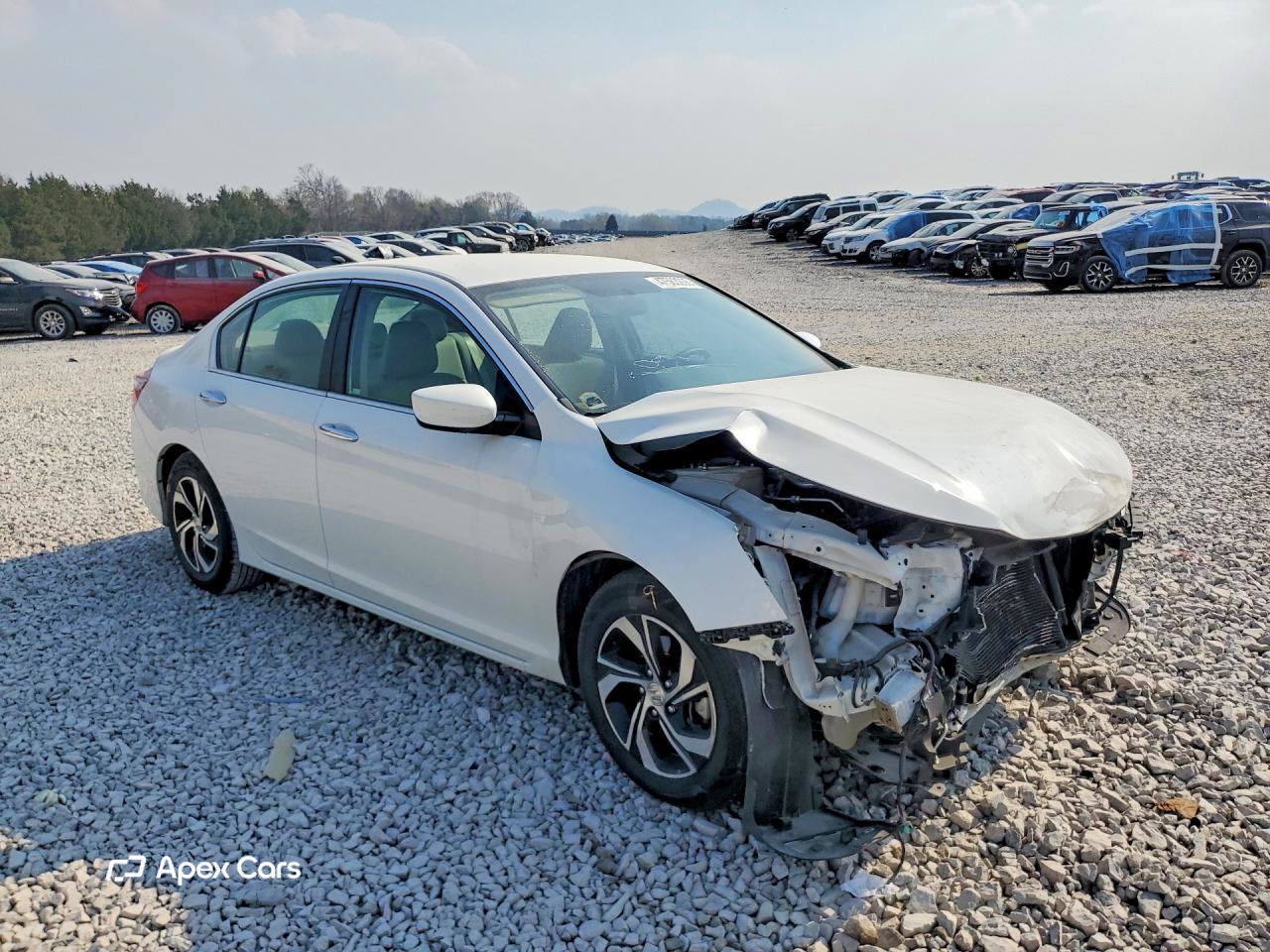 Honda Accord 2017