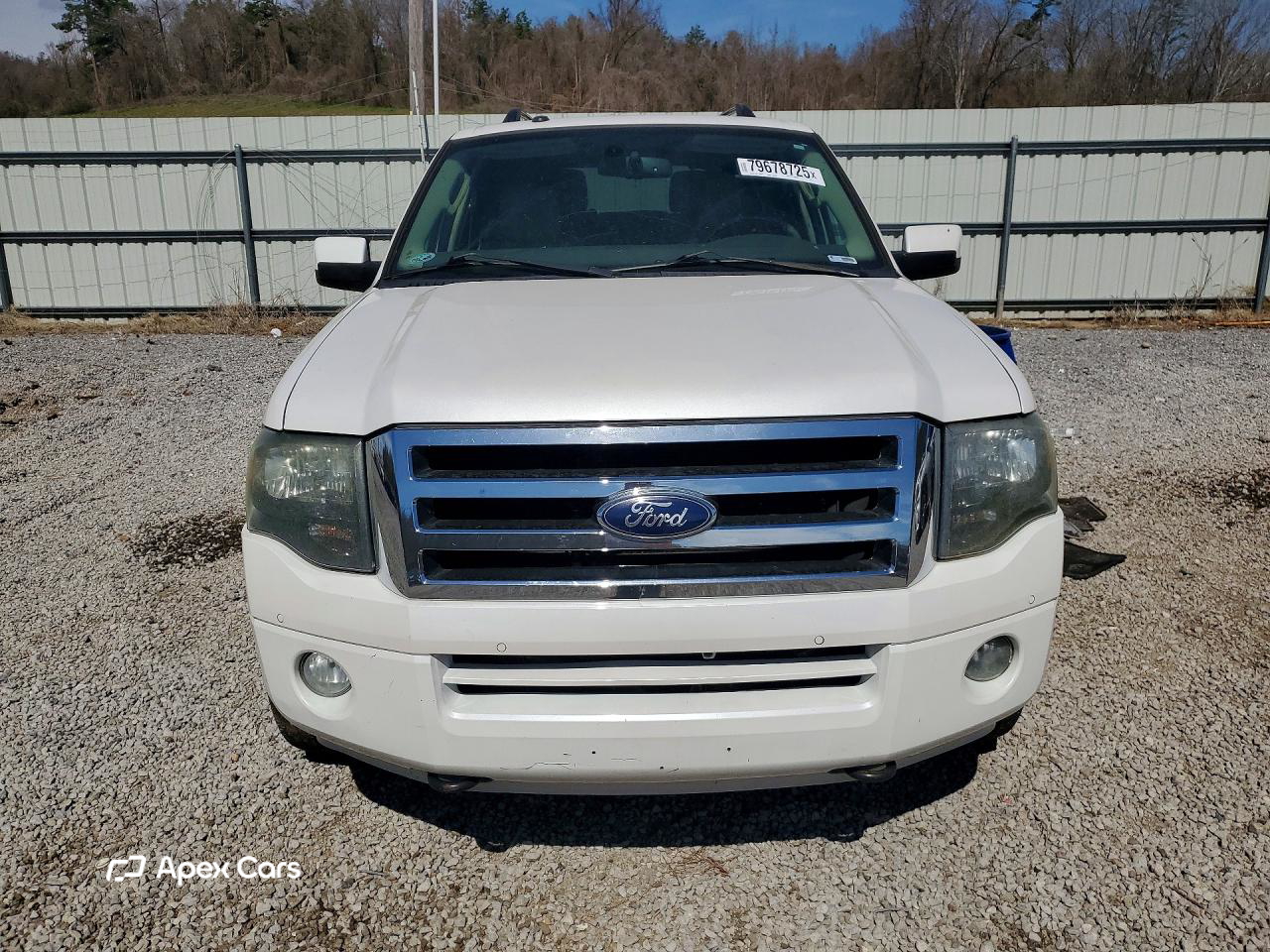 Ford Expedition 2013