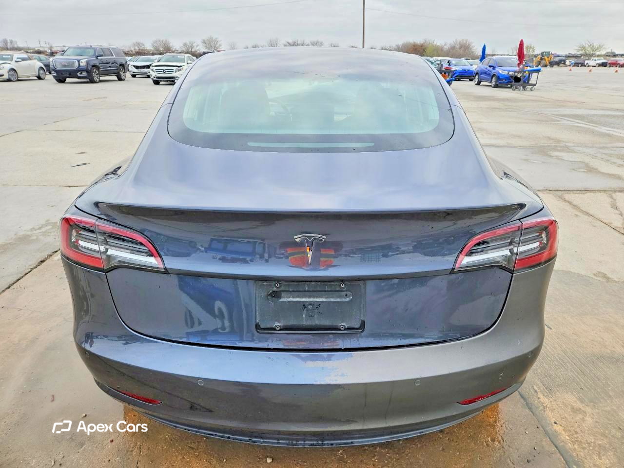 Tesla Model 3 2019