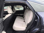 Lexus RX 2024