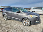 Ford Escape 2013
