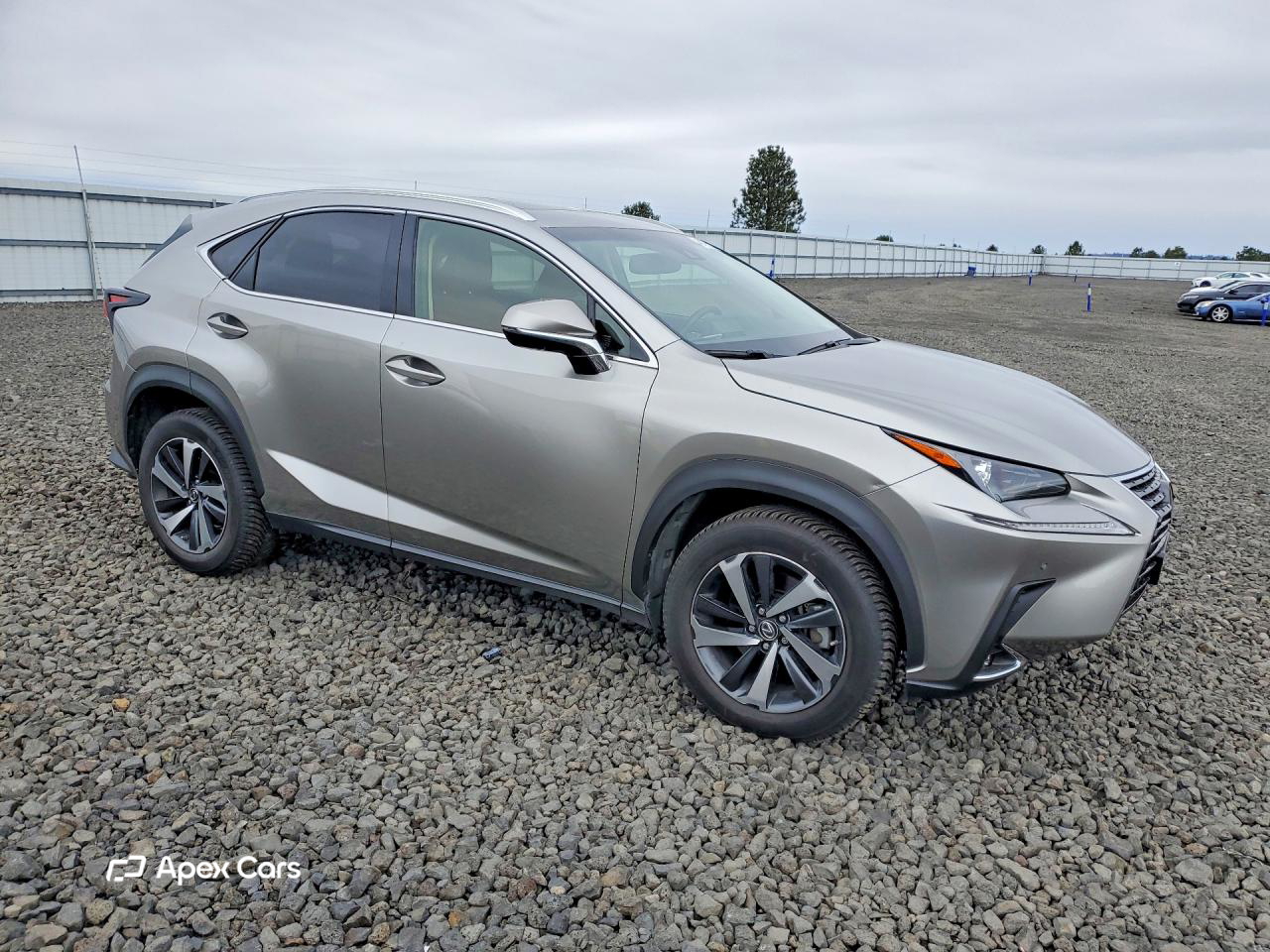 Lexus NX 2019
