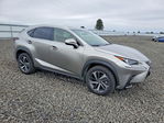Lexus NX 2019