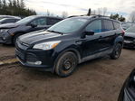 Ford Escape 2016