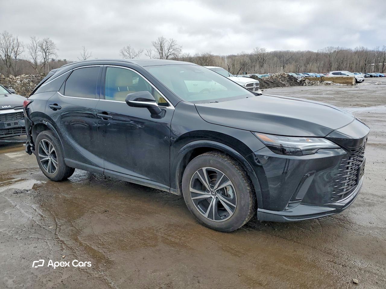 Lexus RX 2024