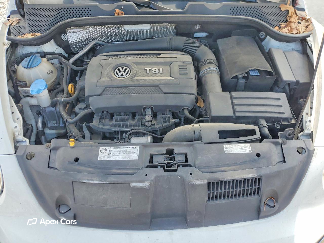 Volkswagen Beetle 2017