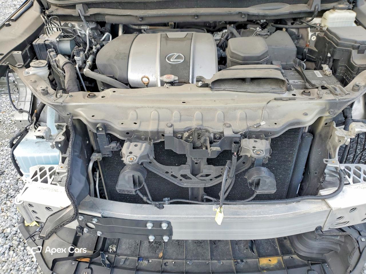 Lexus RX 2020