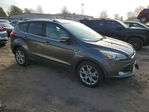 Ford Escape 2015