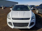 Ford Escape 2013