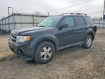 Ford Escape 2012