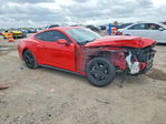 Ford Mustang 2024