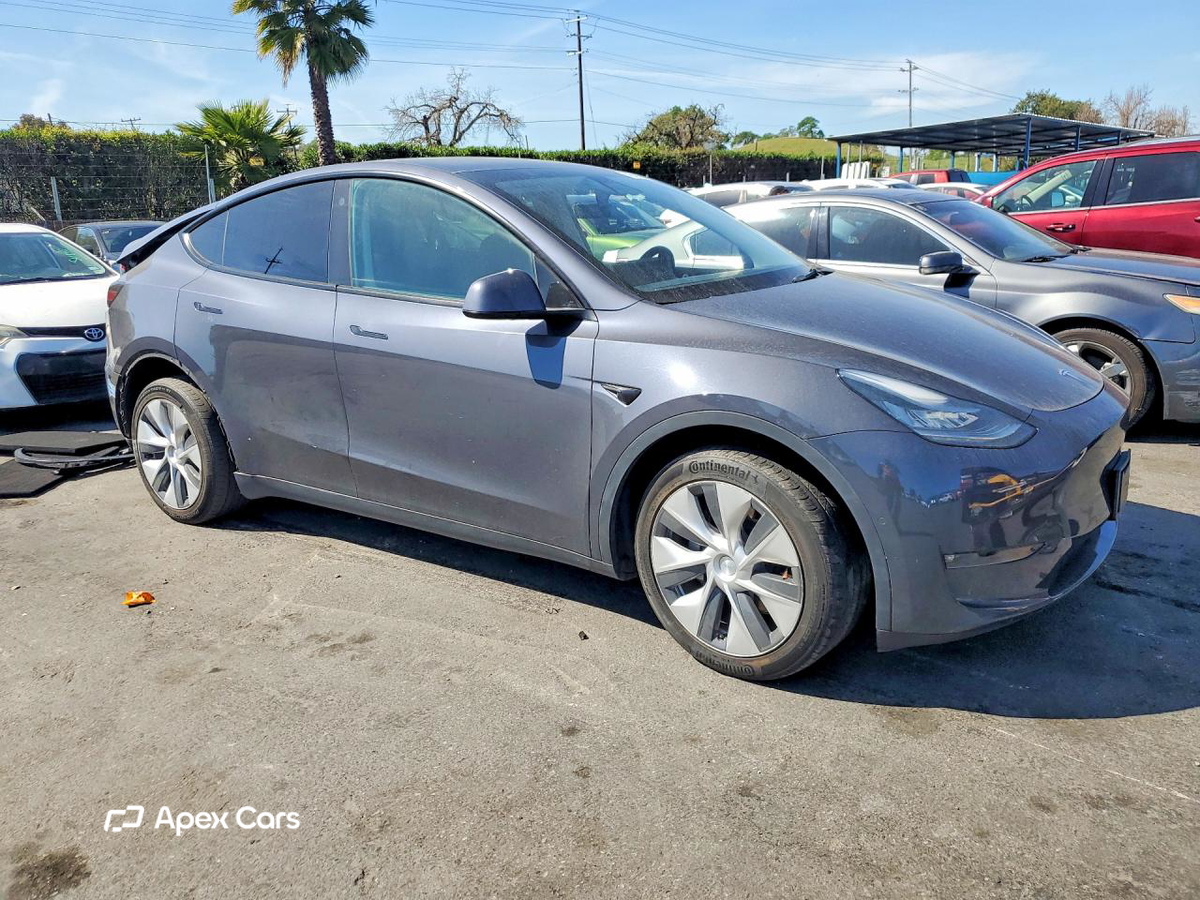 Tesla Model Y 2021