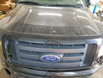 Ford F-150 2010