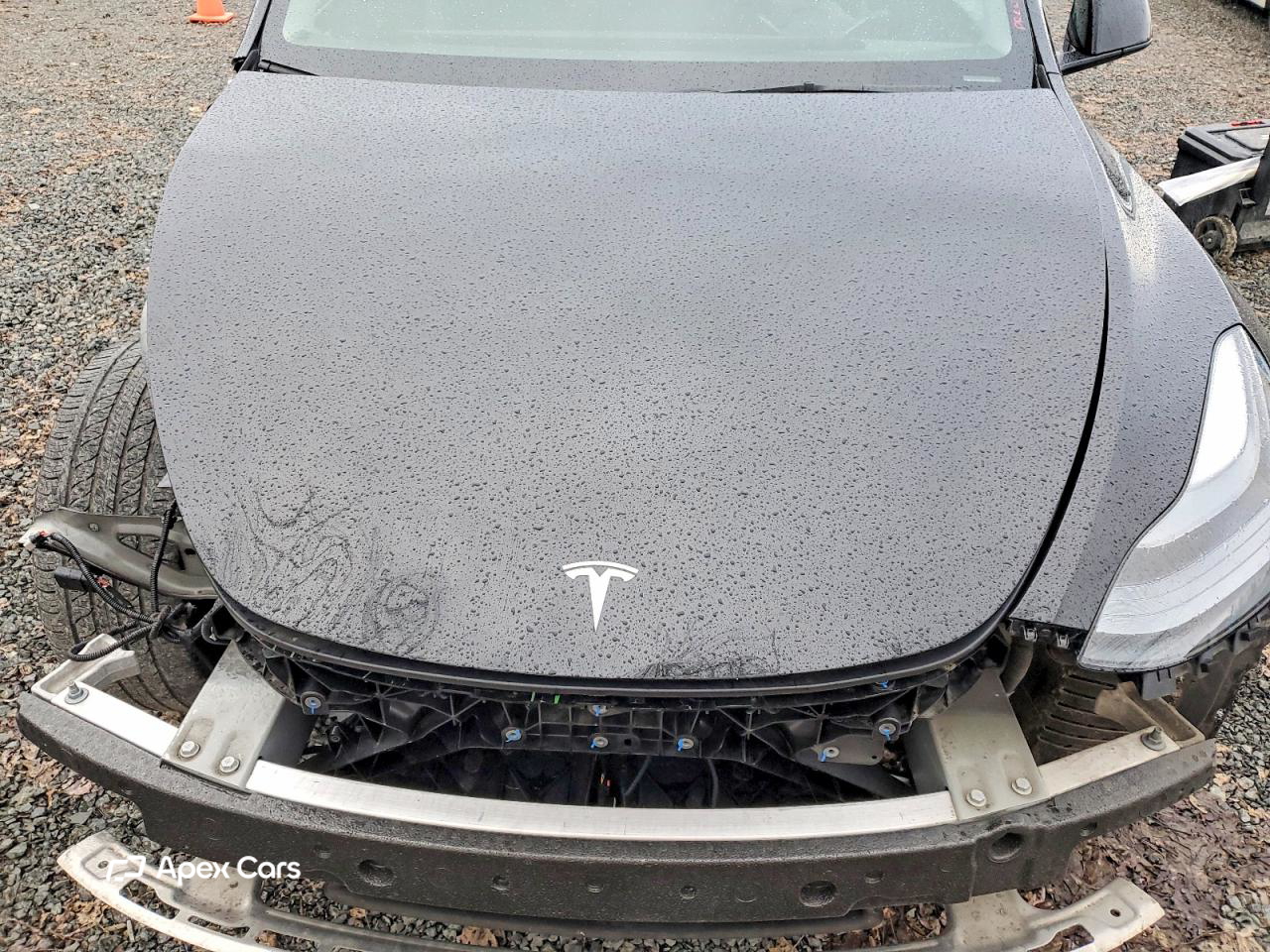Tesla Model Y 2025