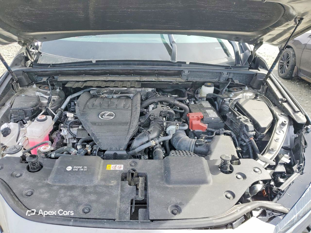 Lexus NX 2024