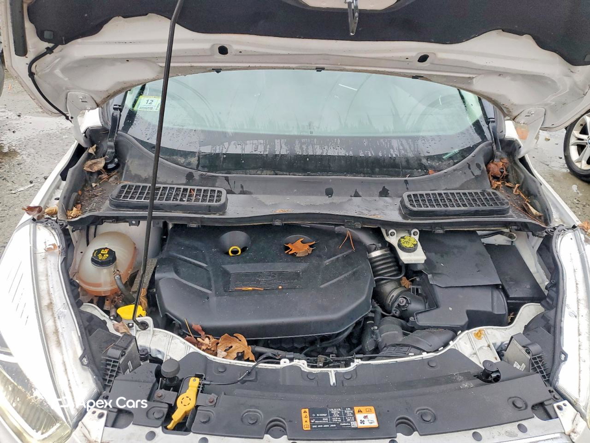 Ford Escape 2019