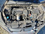 Honda Accord 2013
