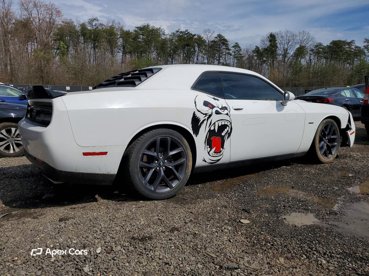 Dodge Challenger 2019