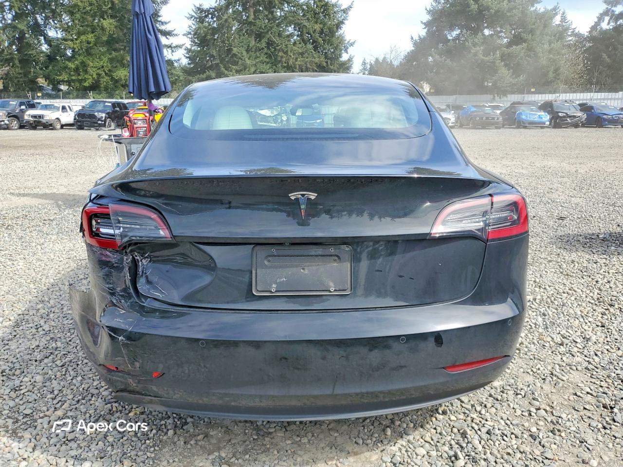 Tesla Model 3 2021