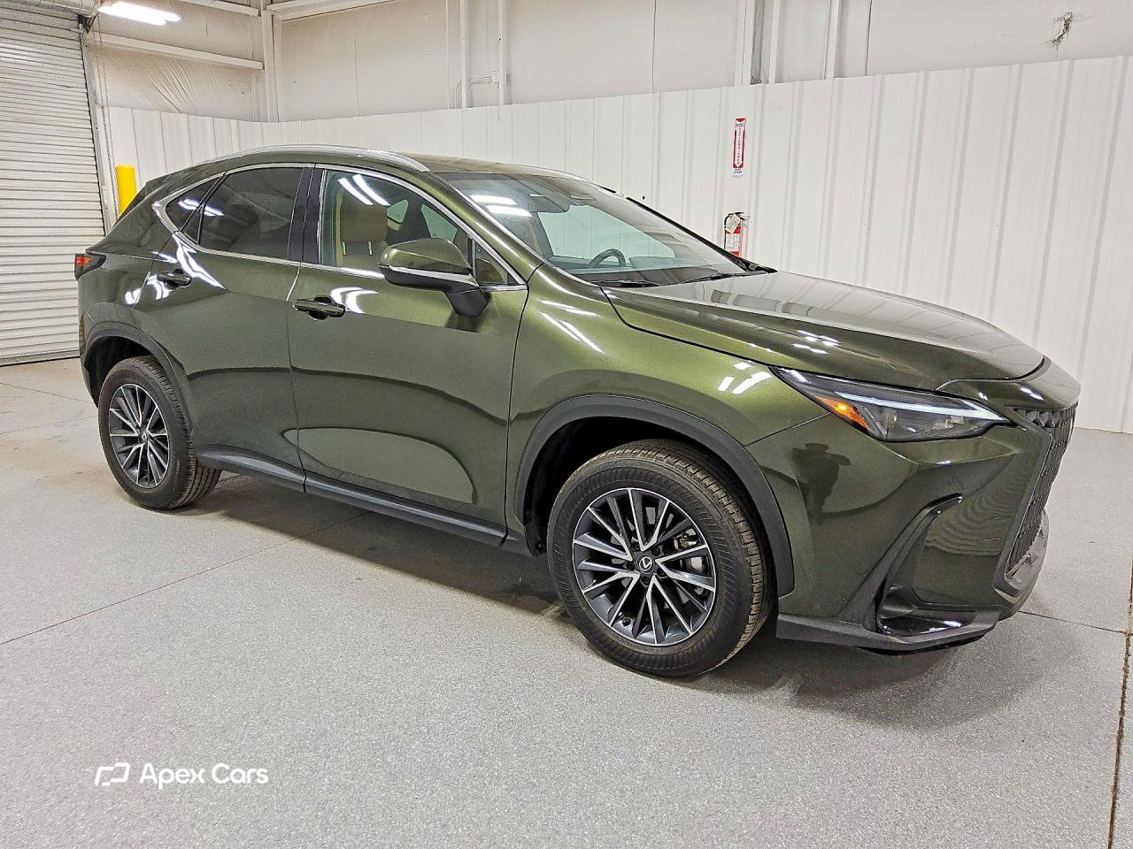 Lexus NX 2025