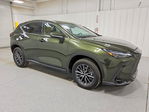 Lexus NX 2025