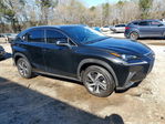 Lexus NX 2019
