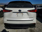 Lexus NX 2020