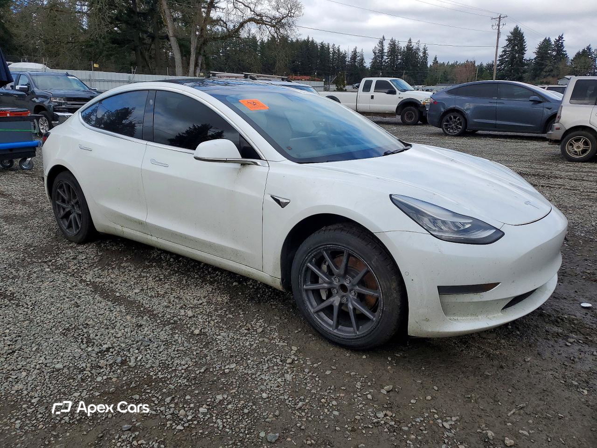 Tesla Model 3 2019