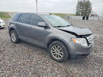 Ford Edge 2010
